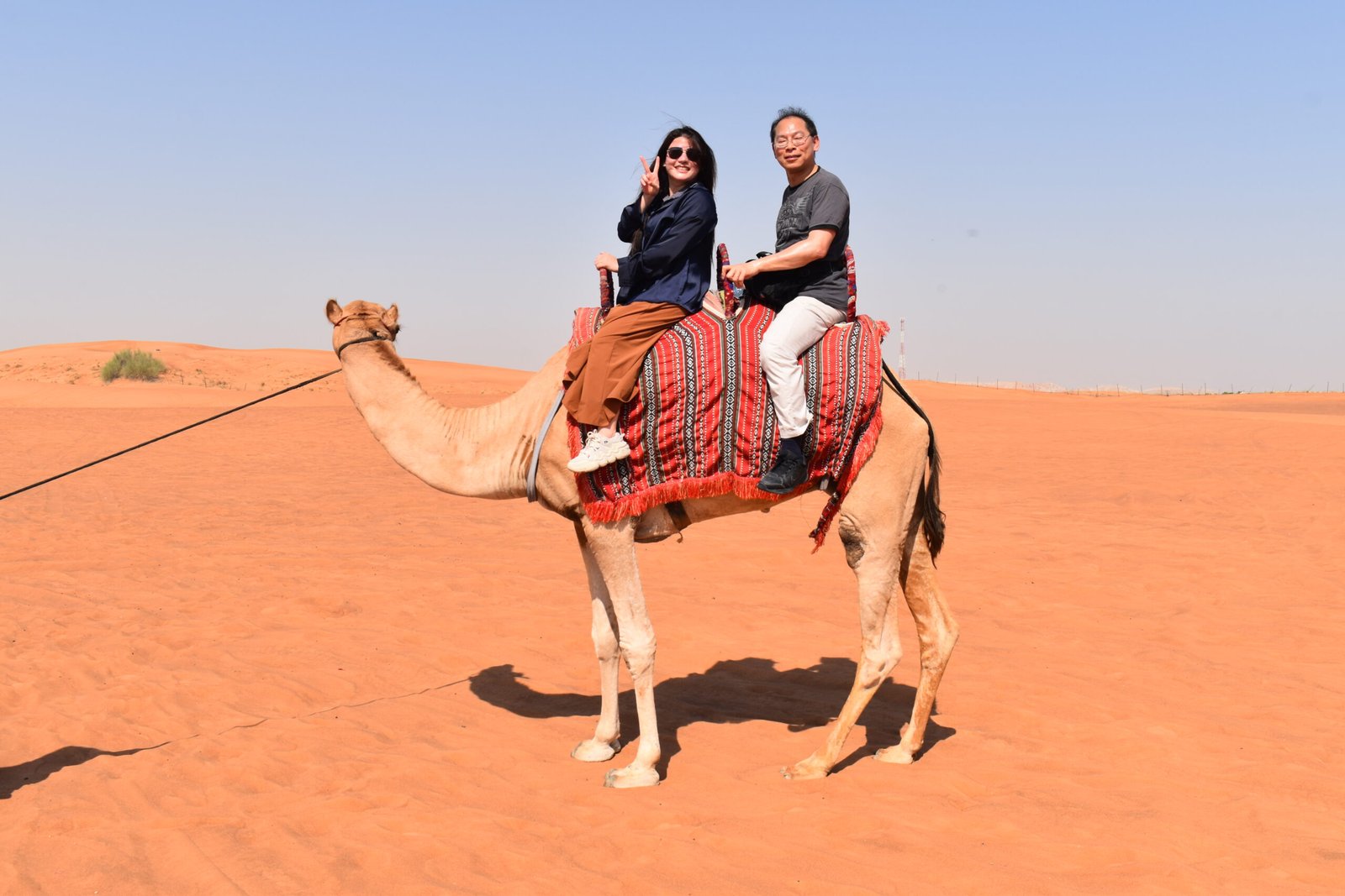 Camel Ride