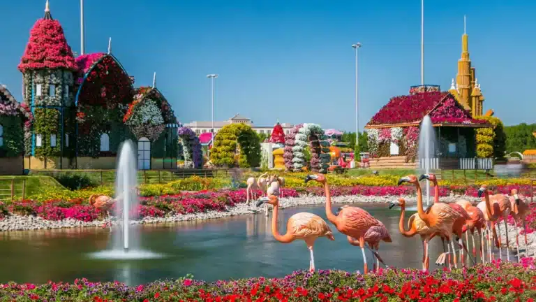 Dubai Miracle Garden Guide: Tickets, Highlights & Tips