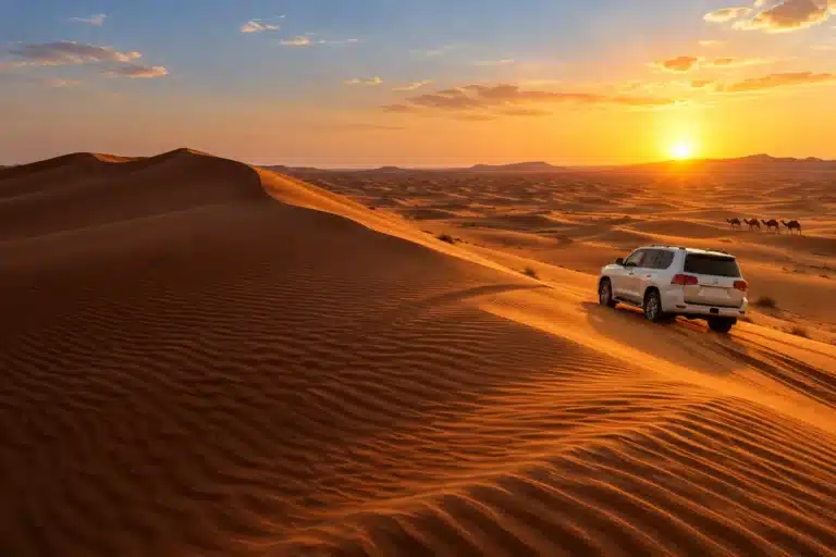 Seven Tours Dubai: Desert Safari, City Tours & Cruises